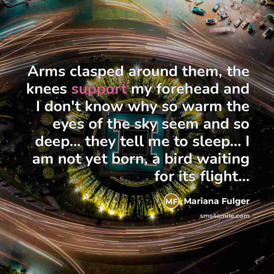 “Arms clasped around them, the knees support my forehead and I don't know why so warm the eyes of the sky seem and so deep... they tell me to sleep... I am not yet born, a bird waiting for its flight...” quote by Mariana Fulger