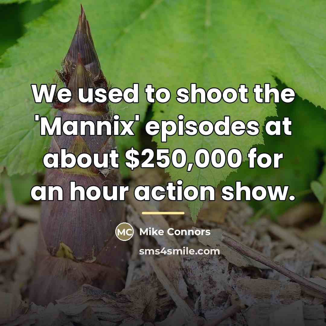 “We used to shoot the 'Mannix' episodes at about $250,000…” quote by Mike Connors