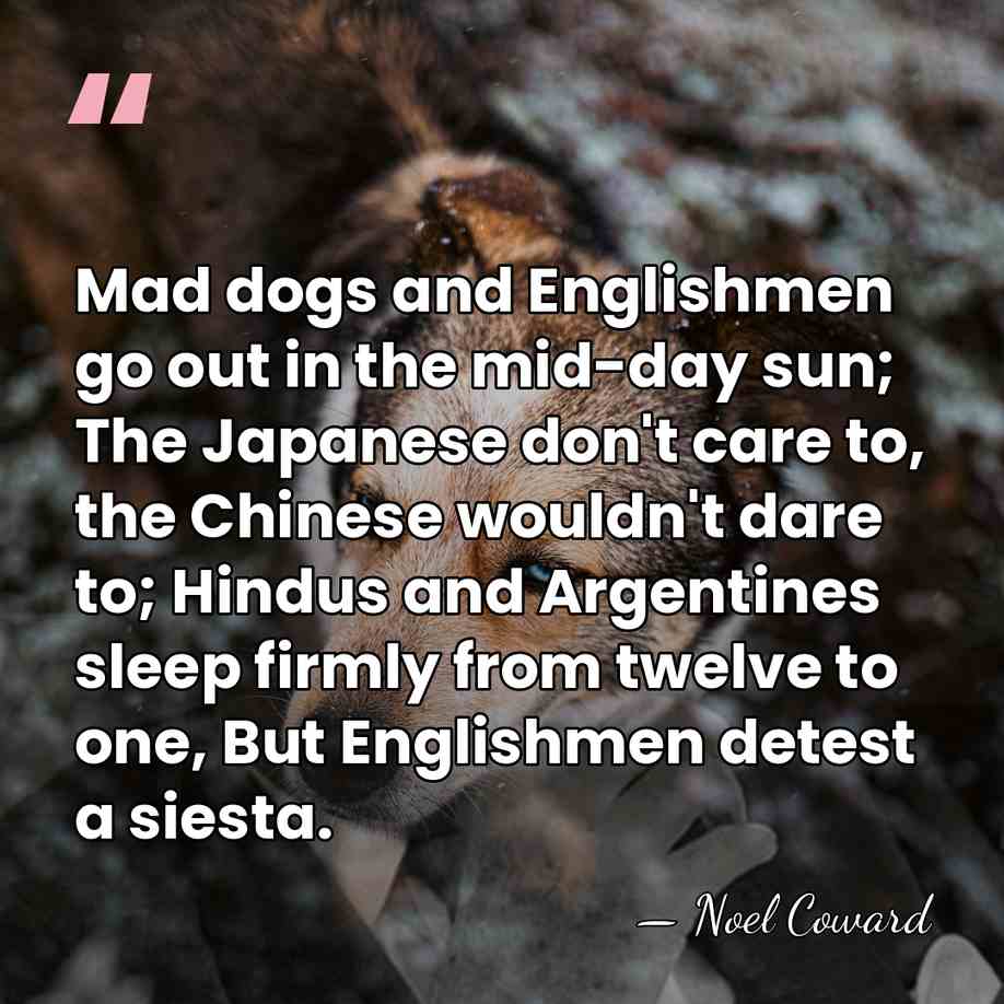 Mad dogs and Englishmen go out in the mid-day sun; The Japanese&hellip; - Noel Coward