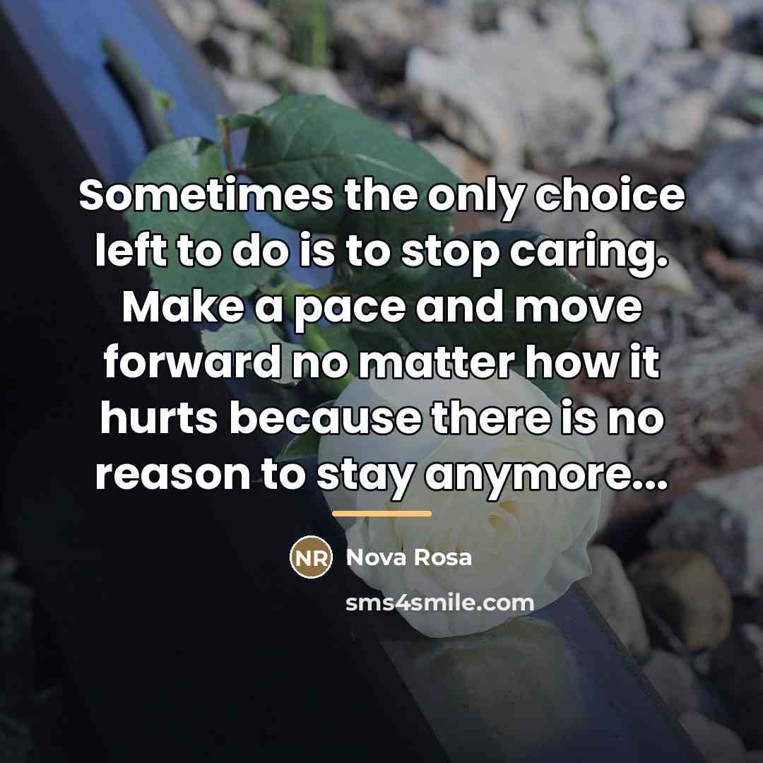 “Sometimes the only choice left to do is to stop…” quote by Nova Rosa