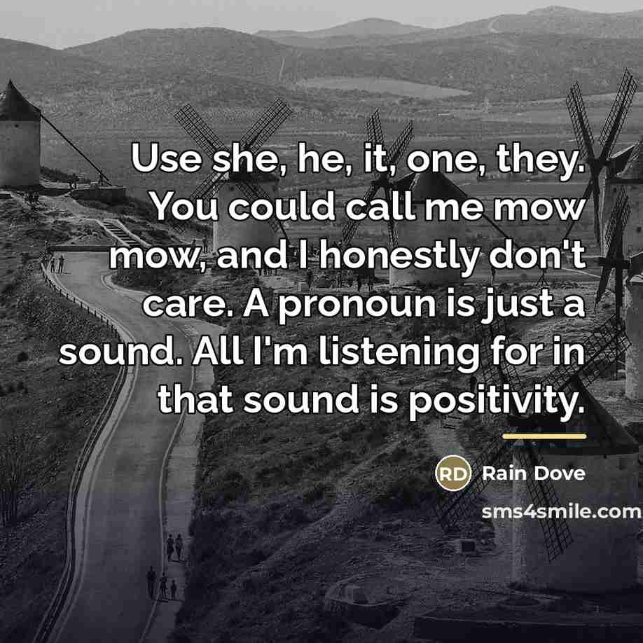 “Use she, he, it, one, they. You could call me…” quote by Rain Dove