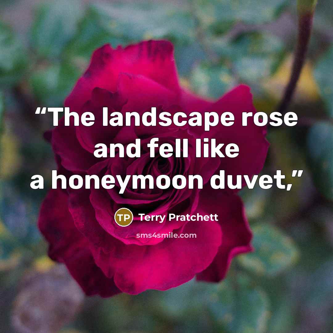 “The landscape rose and fell like a honeymoon duvet,” quote by Terry Pratchett