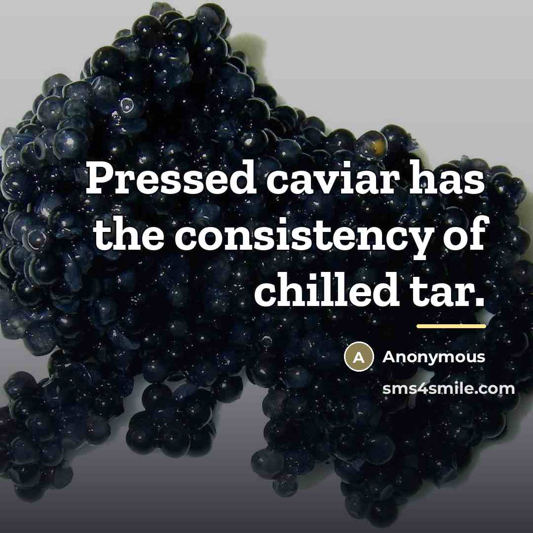 “Pressed caviar has the consistency of chilled tar.…” quote by Anonymous