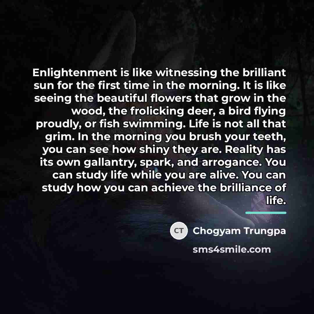 “Enlightenment is like witnessing the brilliant sun for the first…” quote by Chogyam Trungpa