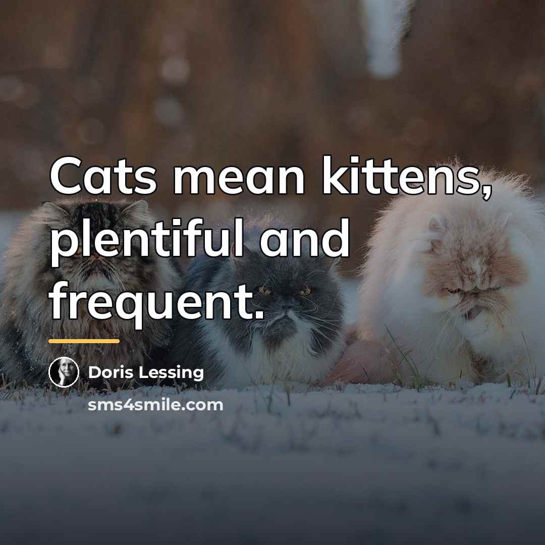 “Cats mean kittens, plentiful and frequent.…” quote by Doris Lessing