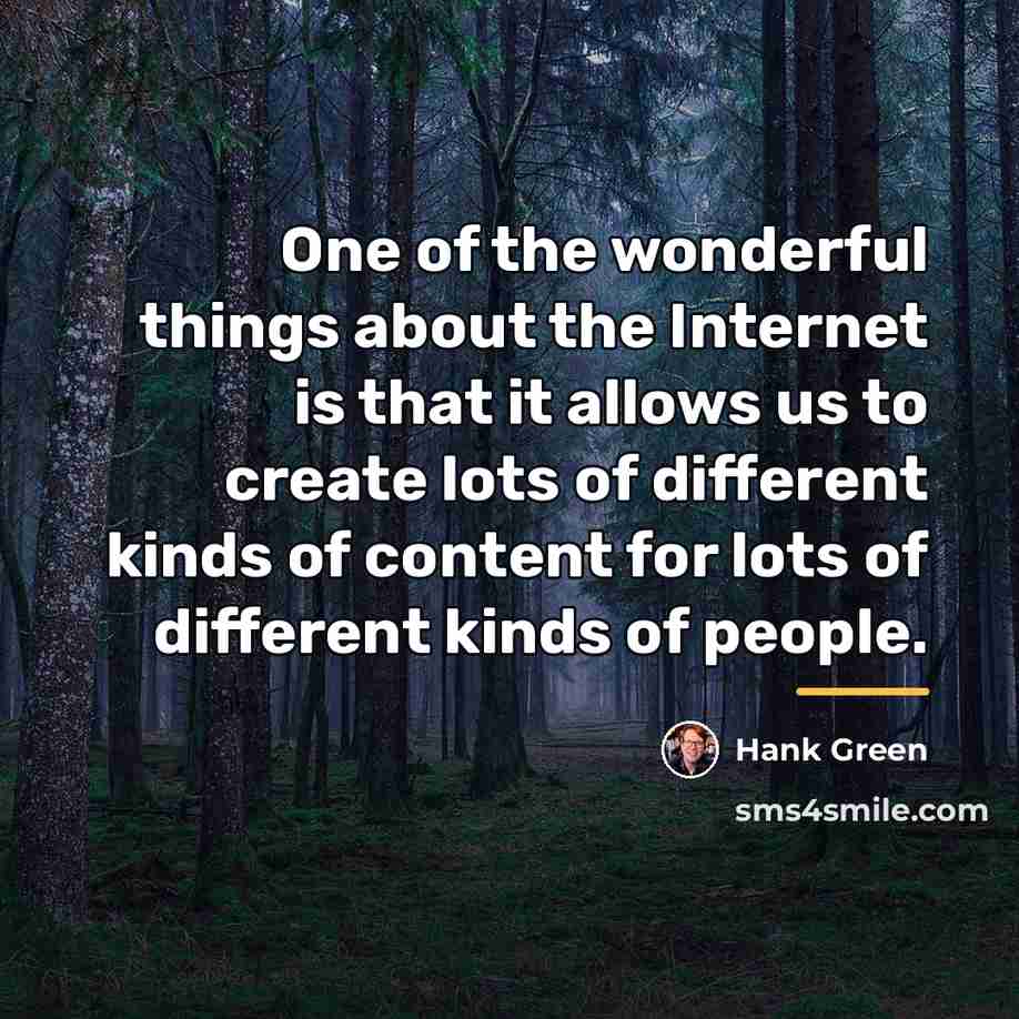 “One of the wonderful things about the Internet is that…” quote by Hank Green