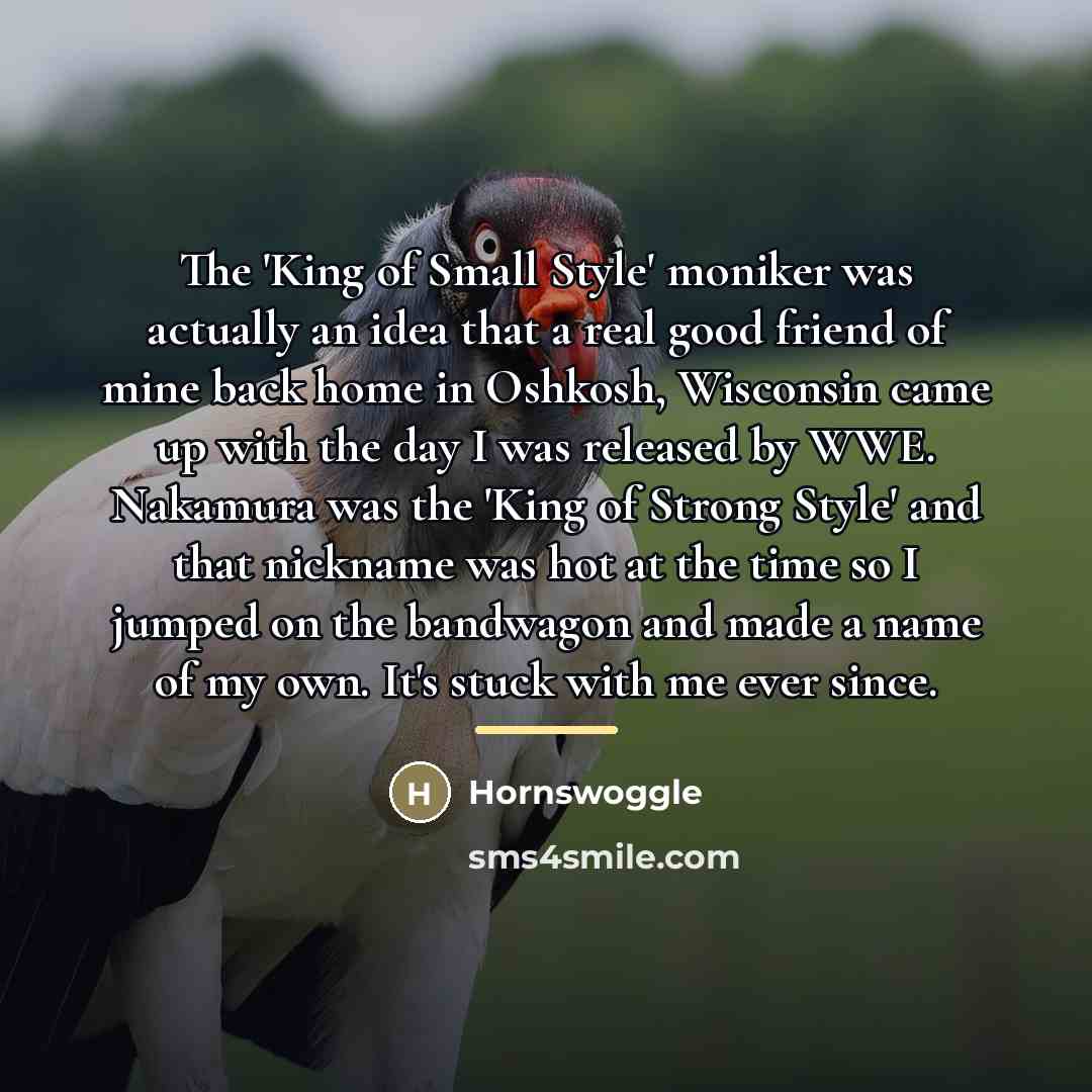 “The 'King of Small Style' moniker was actually an idea…” quote by Hornswoggle