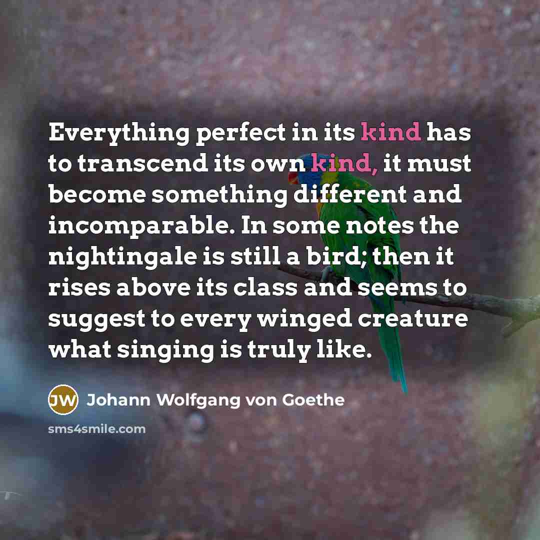 “Everything perfect in its kind has to transcend its own…” quote by Johann Wolfgang von Goethe