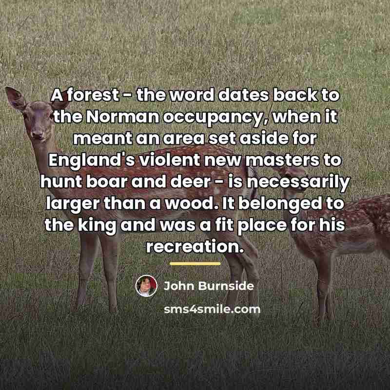 “A forest - the word dates back to the Norman…” quote by John Burnside