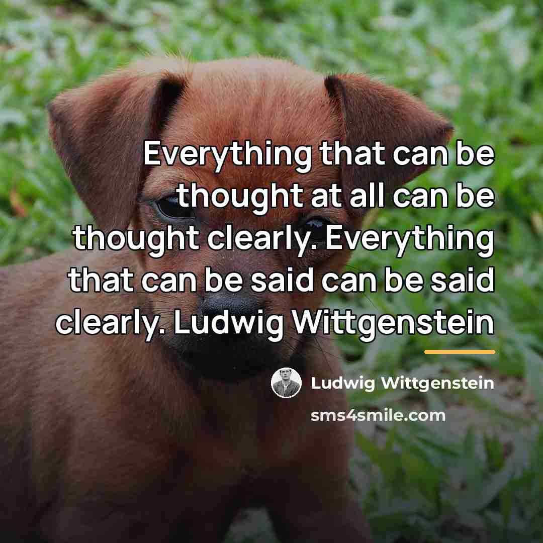 “Everything that can be thought at all can be thought…” quote by Ludwig Wittgenstein