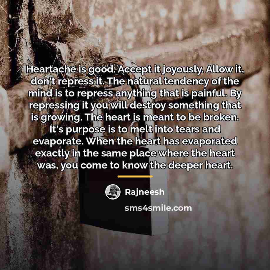 “Heartache is good. Accept it joyously. Allow it, don't repress…” quote by Rajneesh