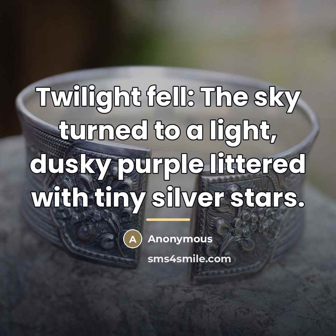 “Twilight fell: The sky turned to a light, dusky purple…” quote by Anonymous