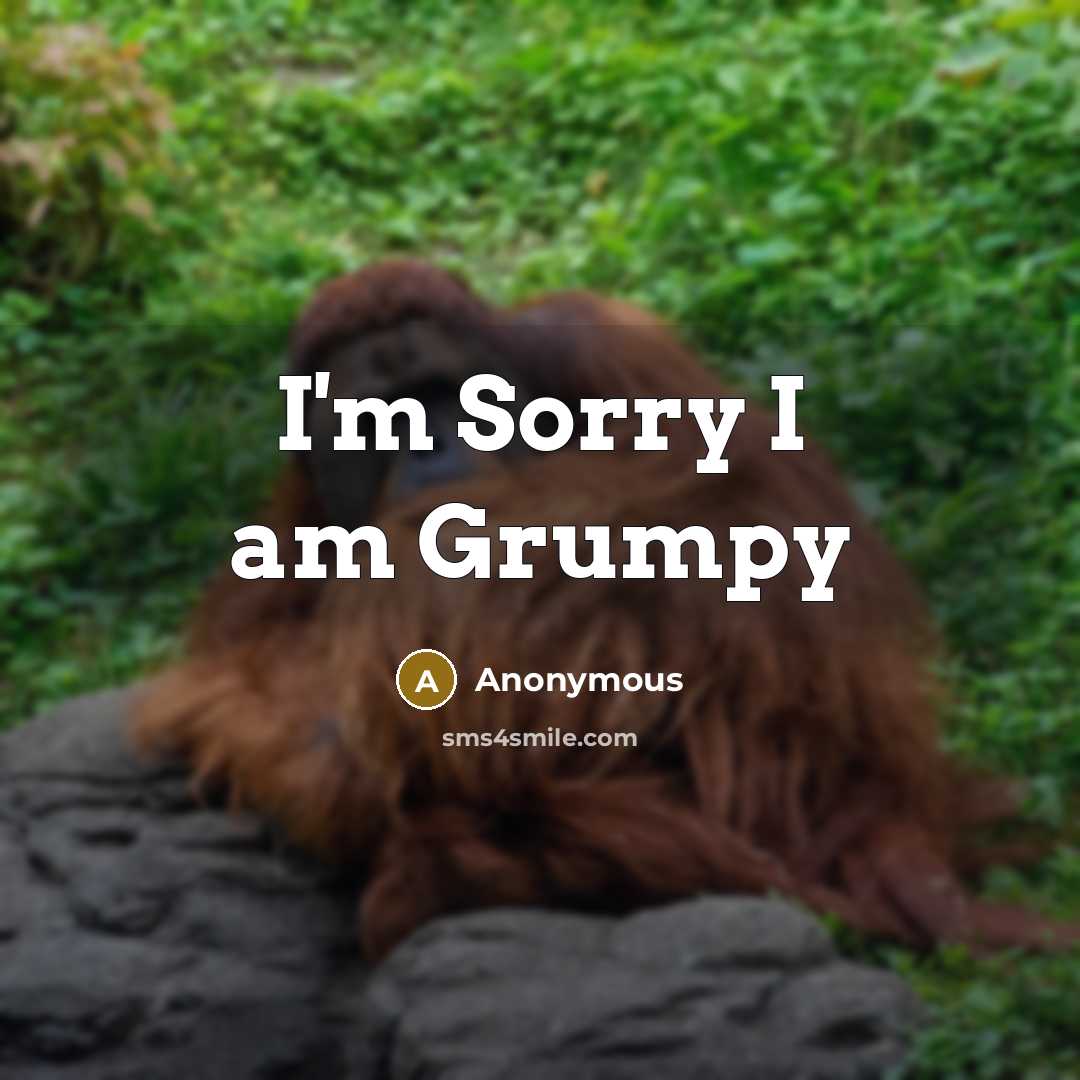 “I'm Sorry I am Grumpy” quote by Anonymous
