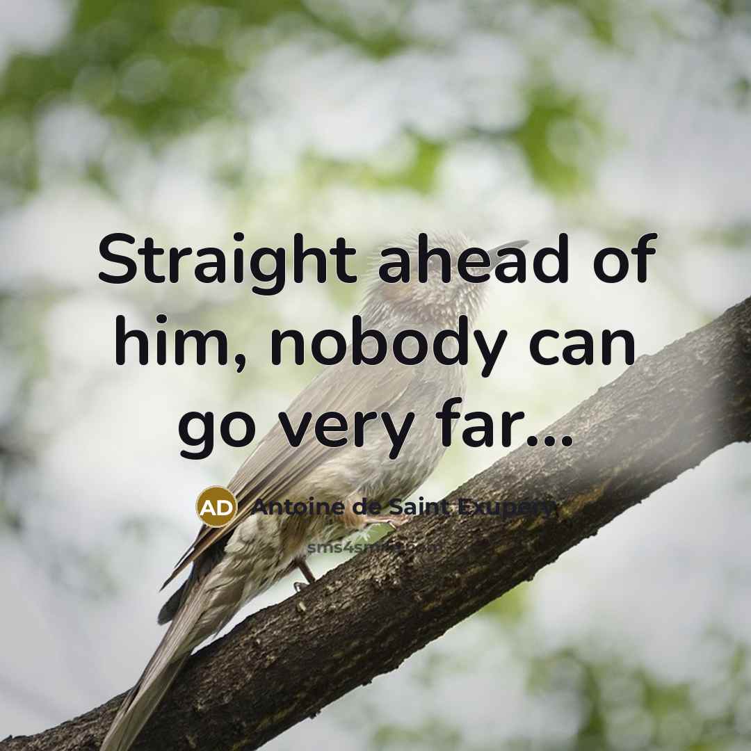 “Straight ahead of him, nobody can go very far...” quote by Antoine De Saint Exupery