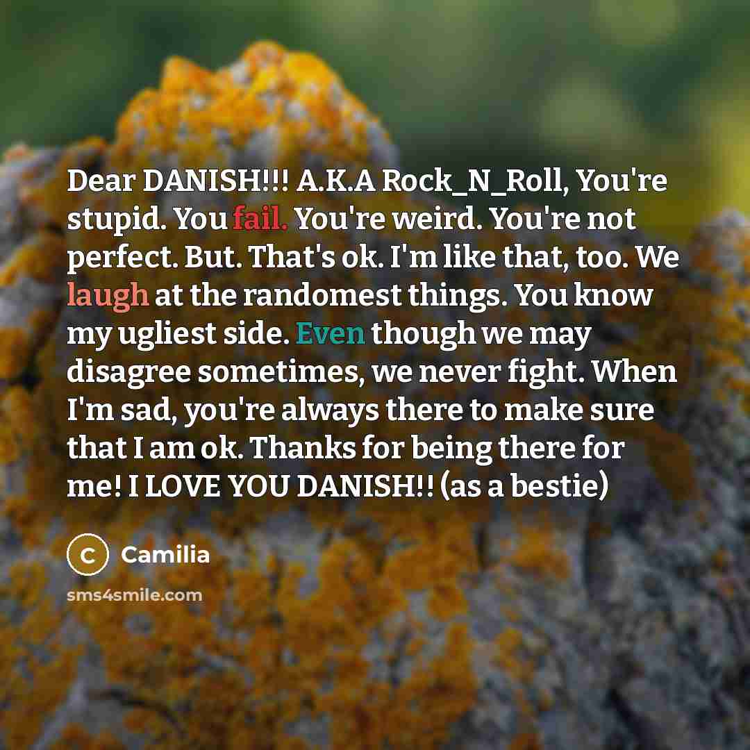“Dear DANISH!!! A.K.A Rock_N_Roll, You're stupid. You fail. You're weird.…” quote by Camilia