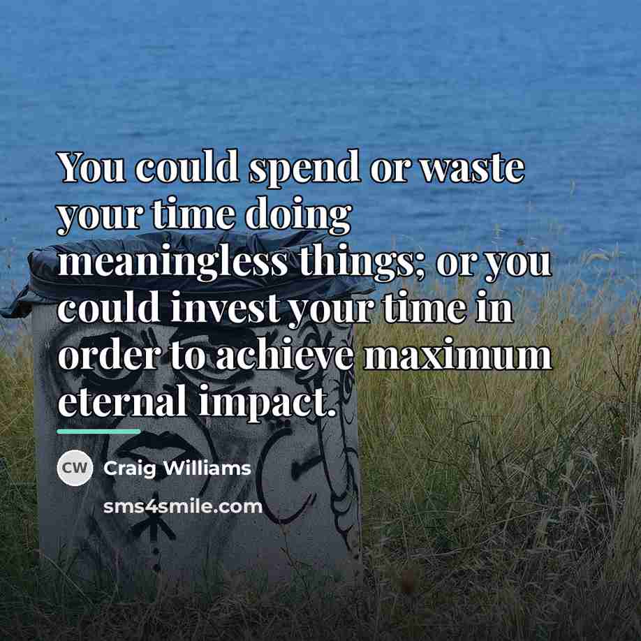 “You could spend or waste your time doing meaningless things;…” quote by Craig Williams
