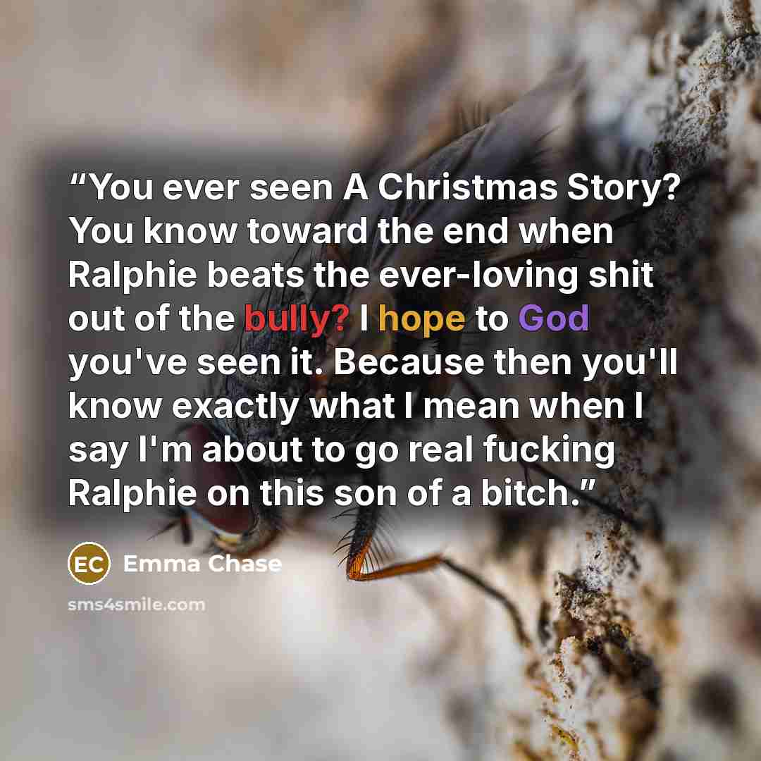 “You ever seen A Christmas Story? You know toward the end when Ralphie beats the ever-loving shit out of the bully? I hope to God you've seen it. Because then you'll know exactly what I mean when I say I'm about to go real fucking Ralphie on this son of a bitch.” quote by Emma Chase