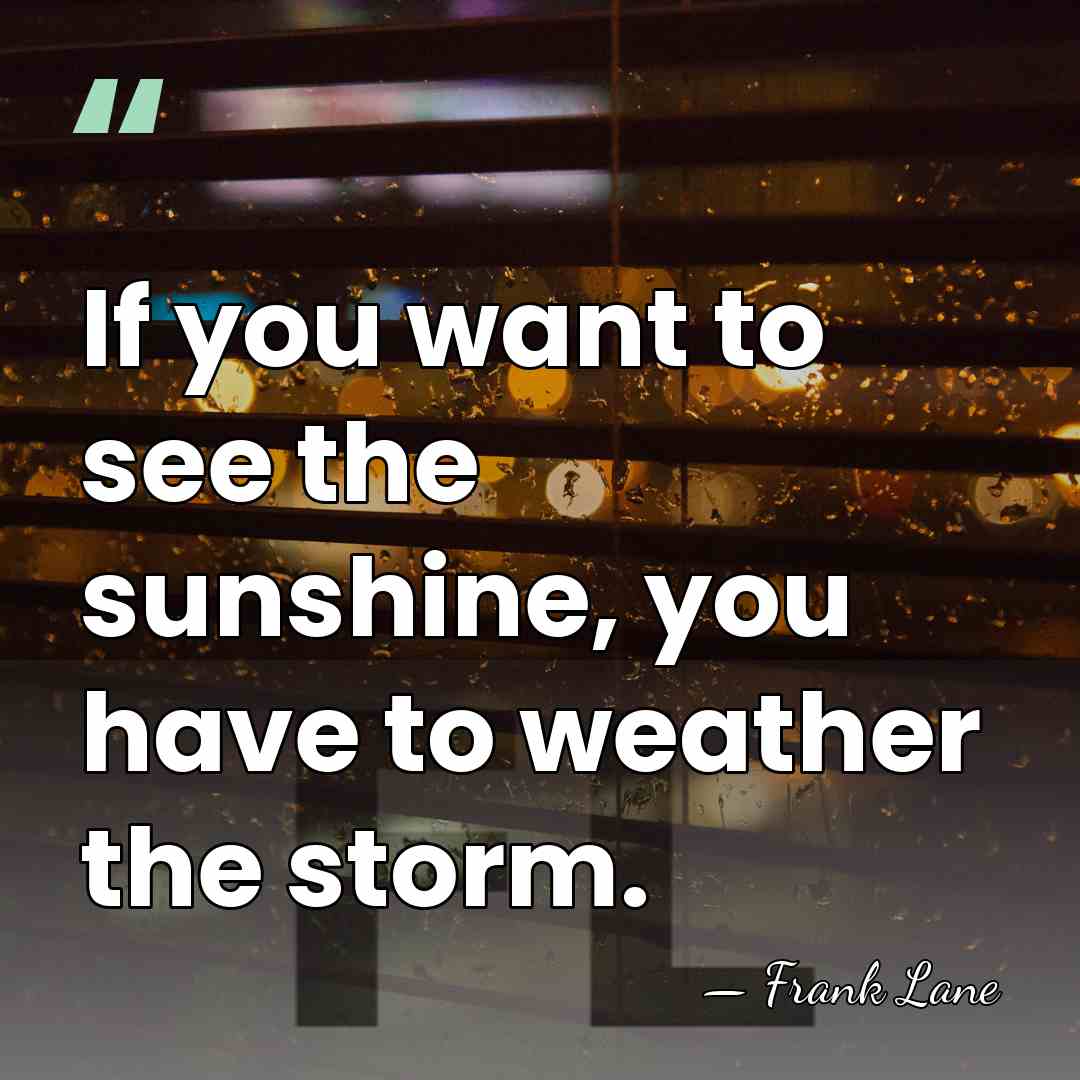 If you want to see the sunshine, you have to weather the&hellip; - Frank Lane