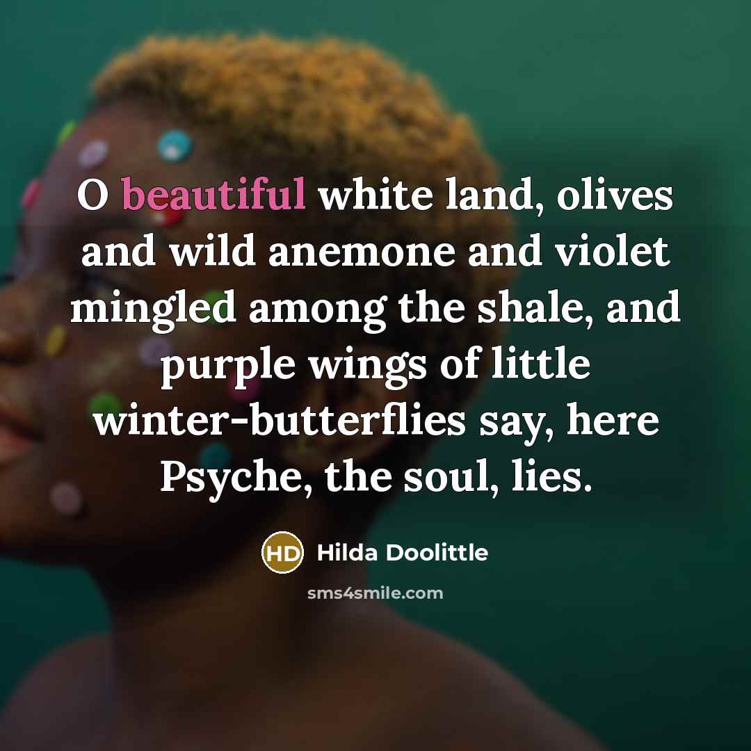 “O beautiful white land, olives and wild anemone and violet…” quote by Hilda Doolittle