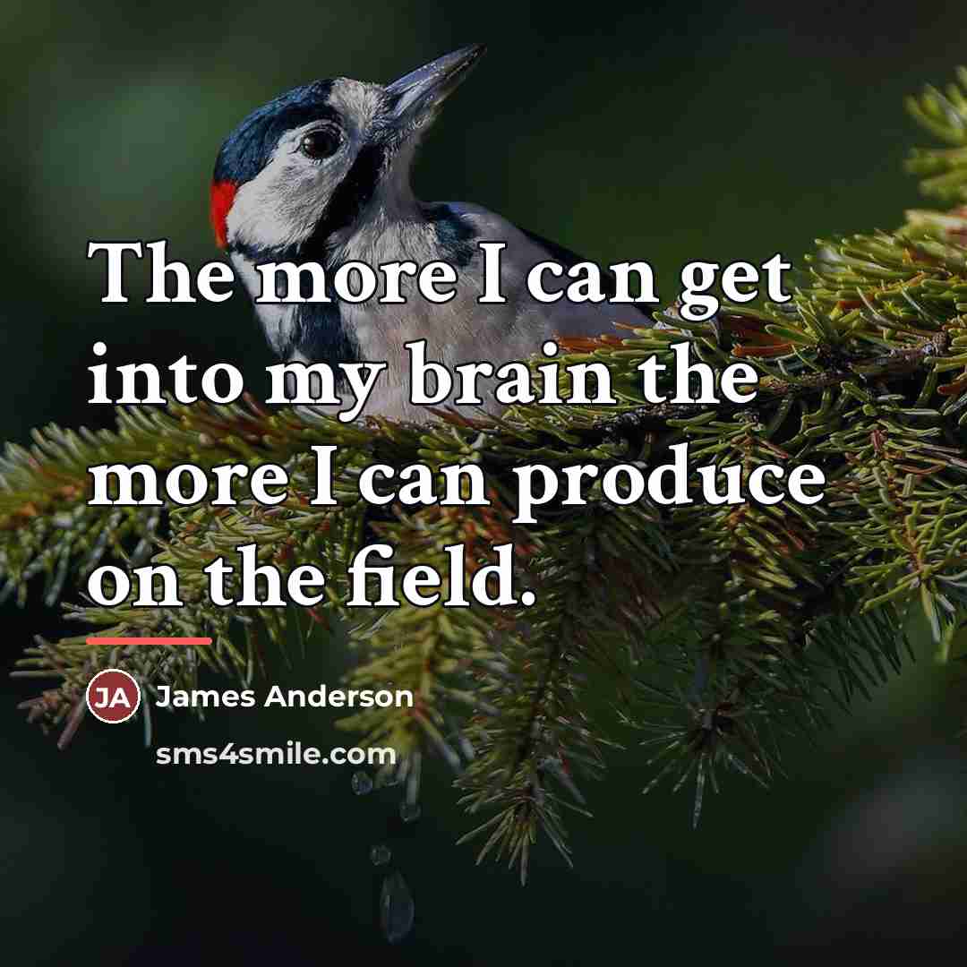 “The more I can get into my brain the more…” quote by James Anderson