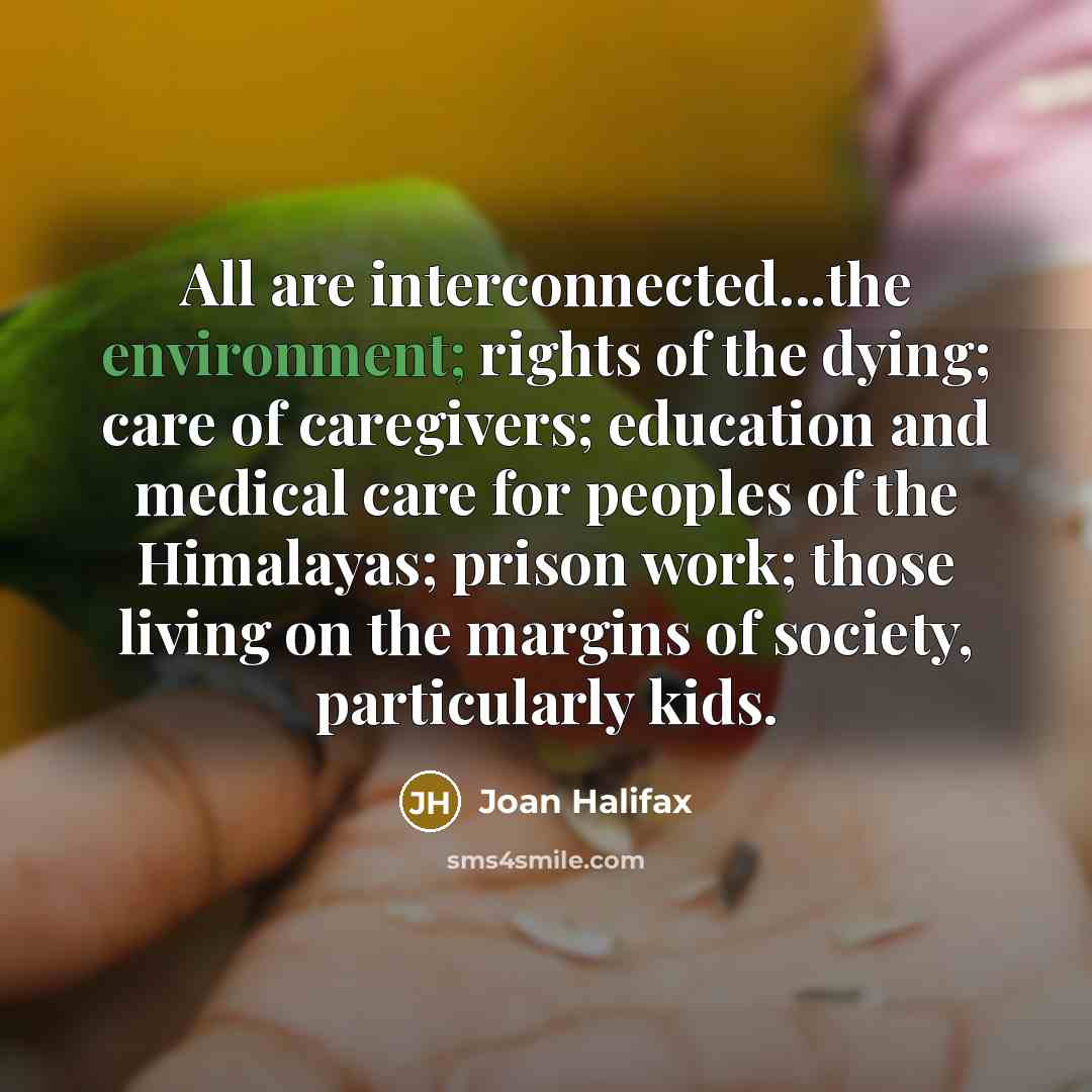 “All are interconnected...the environment; rights of the dying; care of…” quote by Joan Halifax