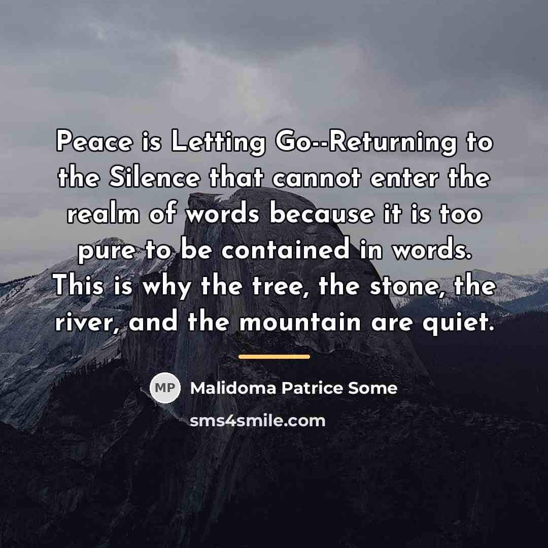 “Peace is Letting Go--Returning to the Silence that cannot enter…” quote by Malidoma Patrice Some
