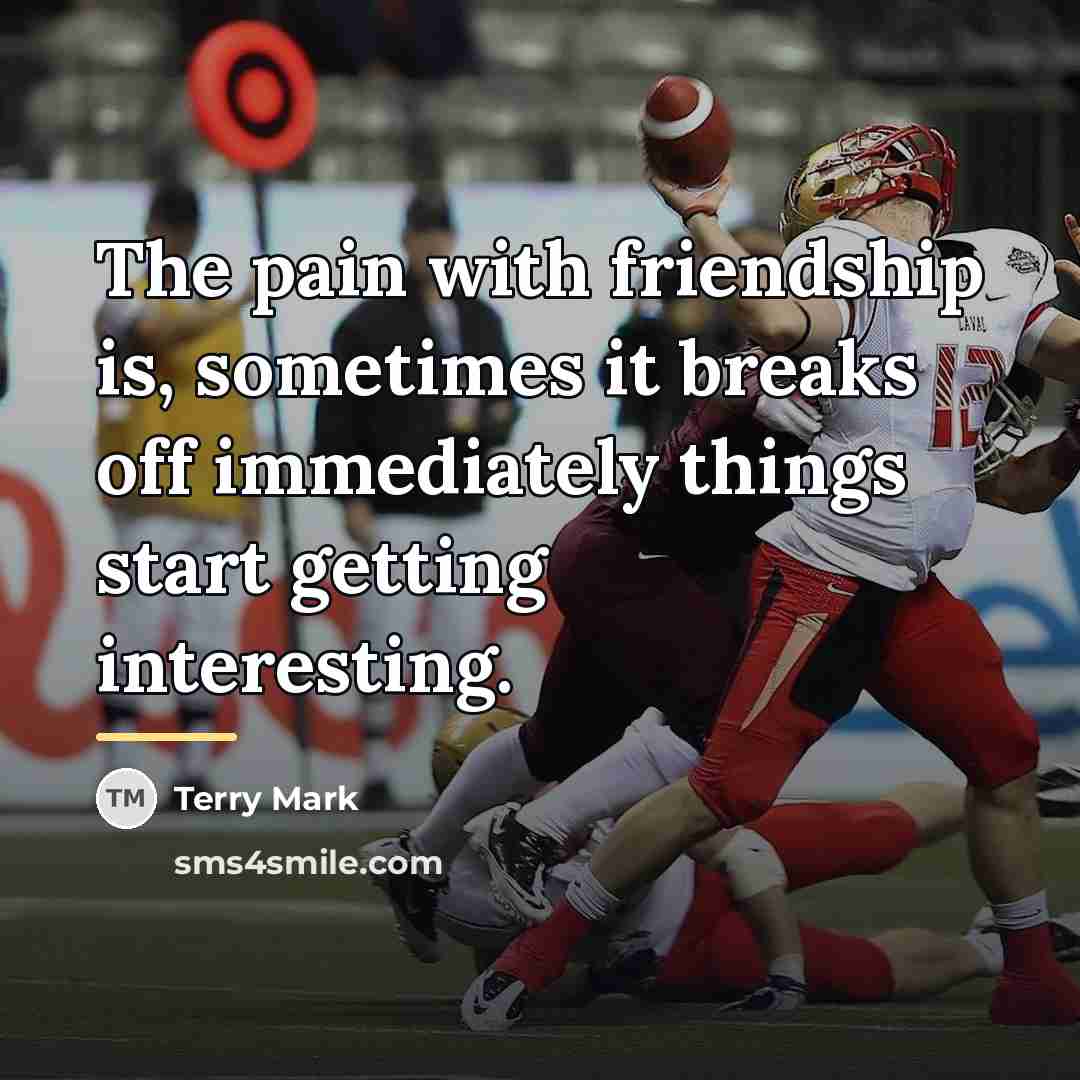 “The pain with friendship is, sometimes it breaks off immediately…” quote by Terry Mark