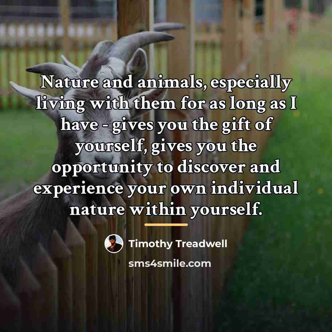 “Nature and animals, especially living with them for as long…” quote by Timothy Treadwell