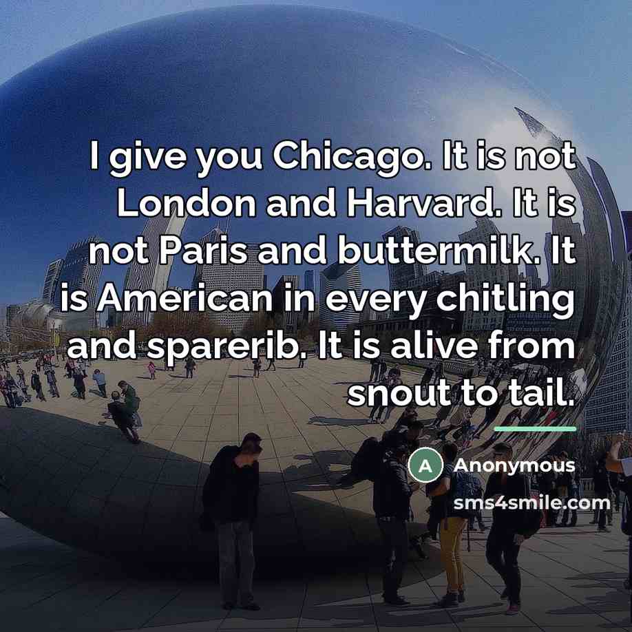 “I give you Chicago. It is not London and Harvard.…” quote by Anonymous