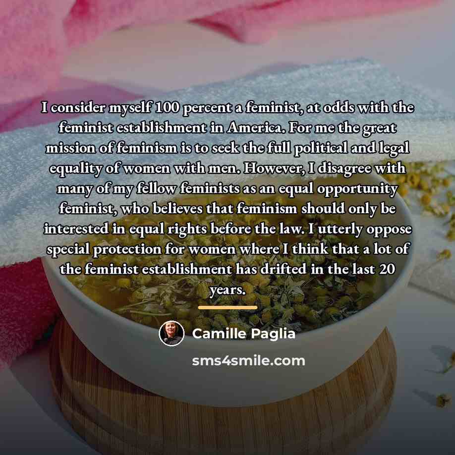 “I consider myself 100 percent a feminist, at odds with…” quote by Camille Paglia