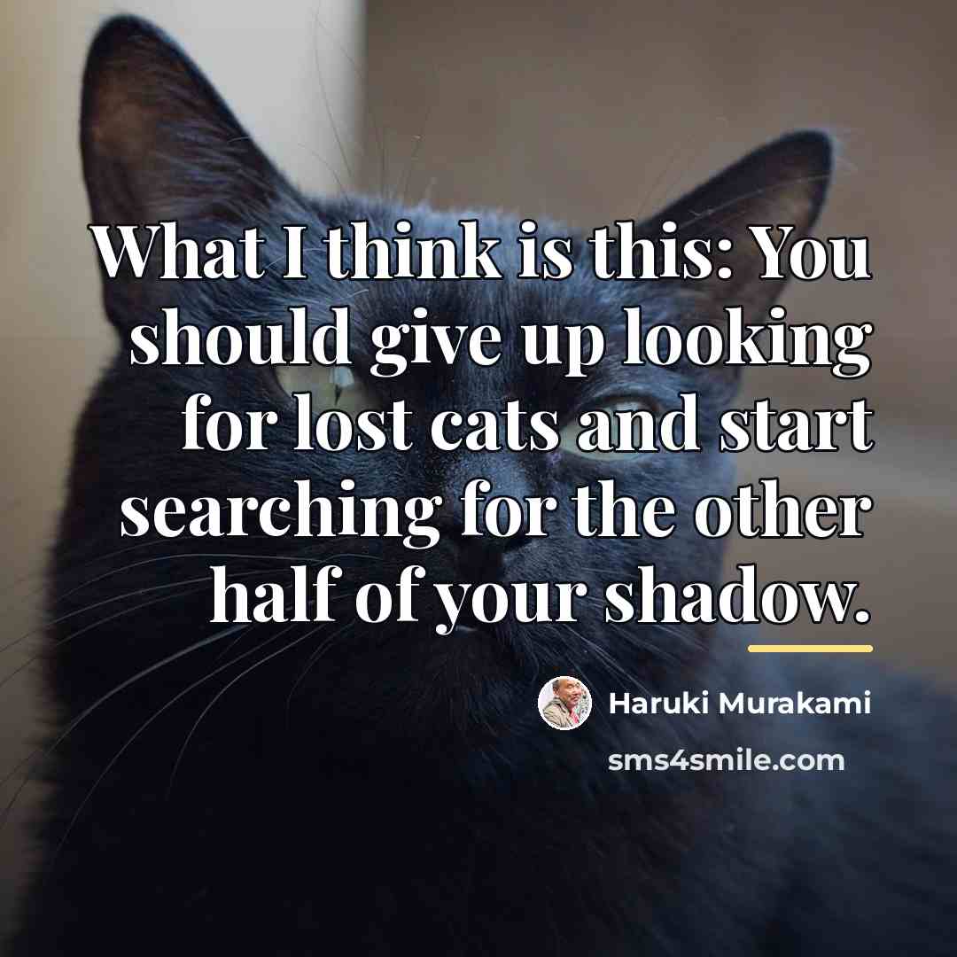 “What I think is this: You should give up looking…” quote by Haruki Murakami