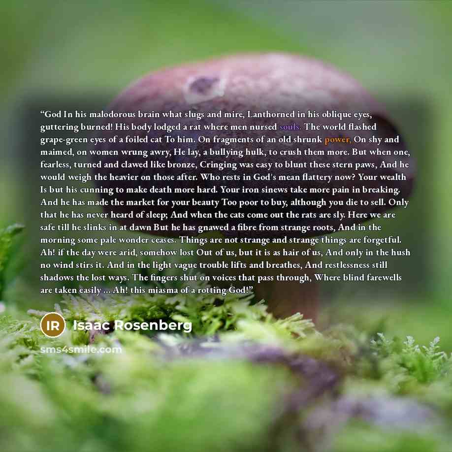 “God In his malodorous brain what slugs and mire, Lanthorned in his oblique eyes, guttering burned! His body lodged a rat where men nursed souls. The world flashed grape-green eyes of a foiled cat To him. On fragments of an old shrunk power, On shy and maimed, on women wrung awry, He lay, a…” quote by Isaac Rosenberg