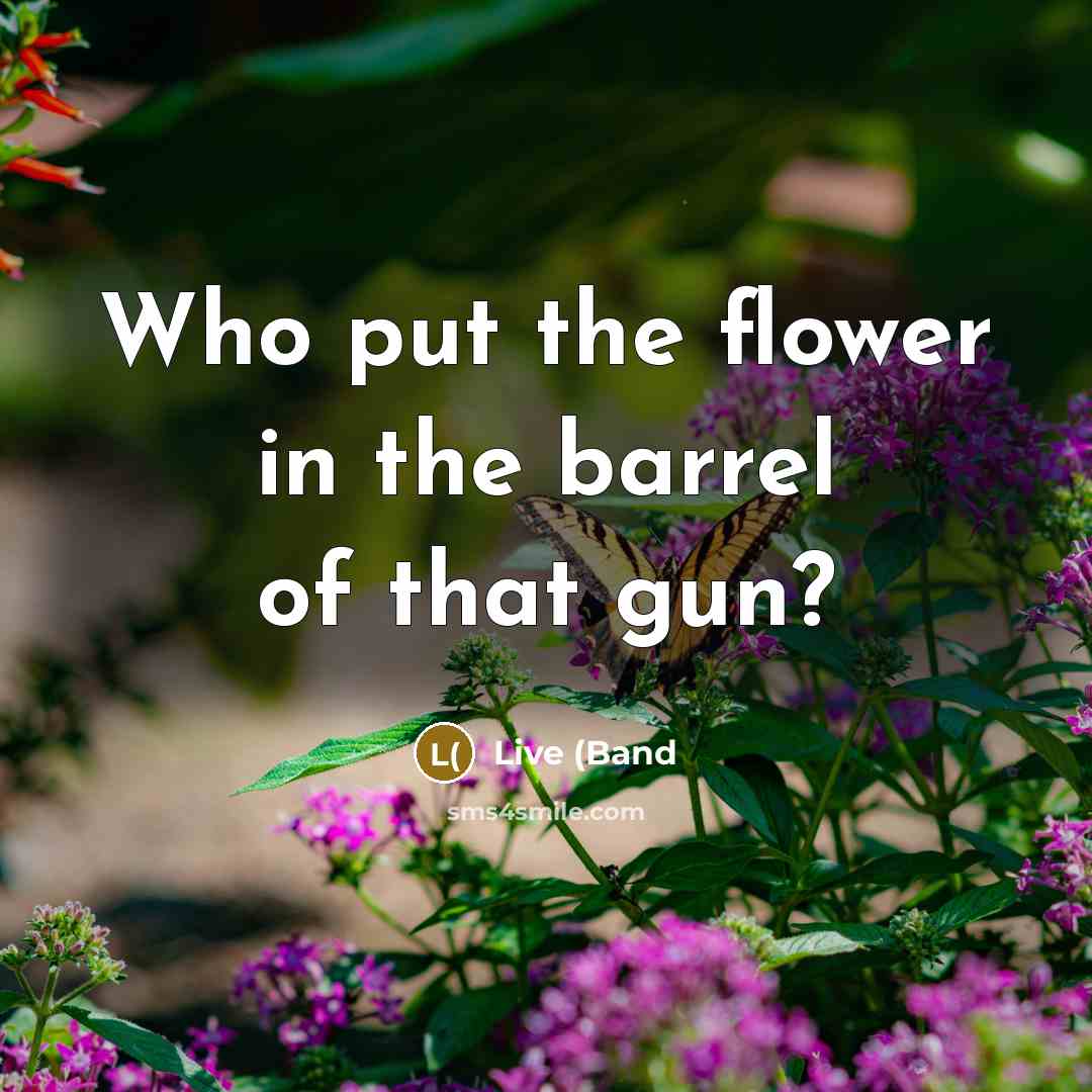 “Who put the flower in the barrel of that gun?…” quote by Live (Band
