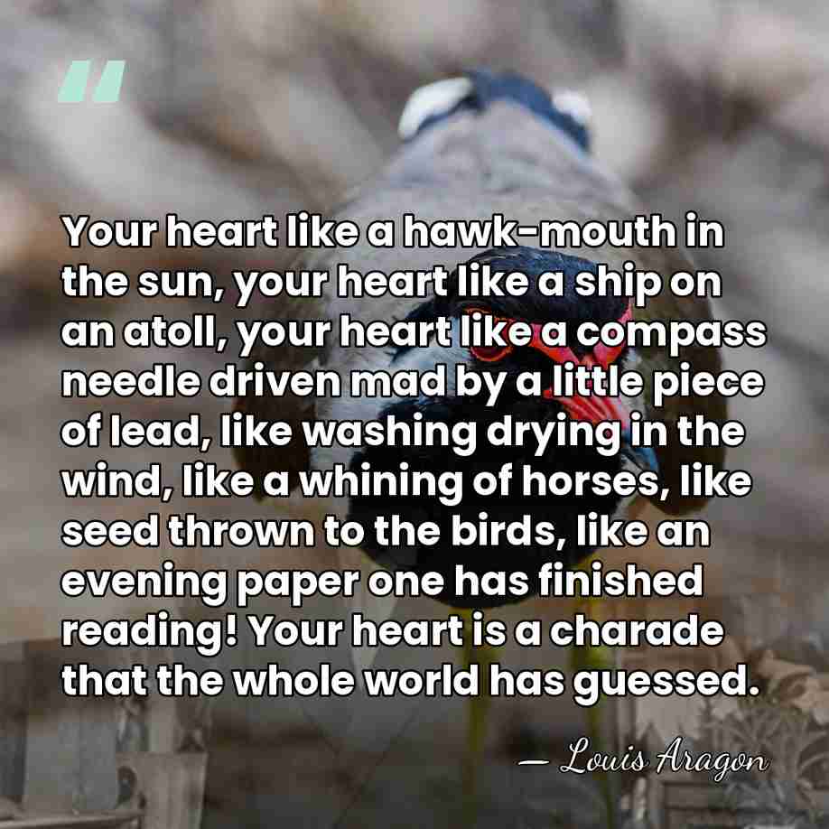 Your heart like a hawk-mouth in the sun, your heart like a&hellip; - Louis Aragon