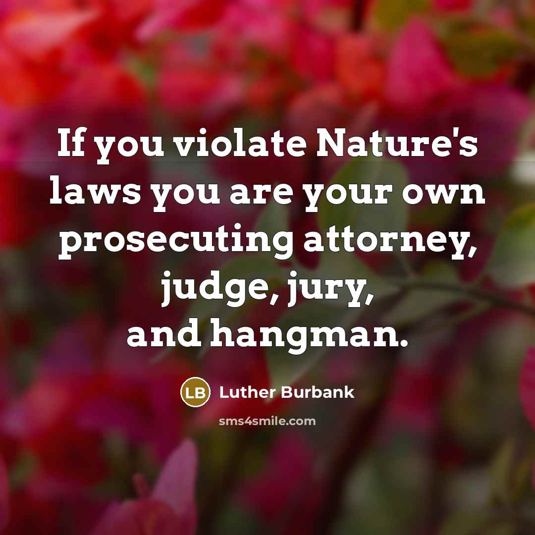 “If you violate Nature's laws you are your own prosecuting…” quote by Luther Burbank