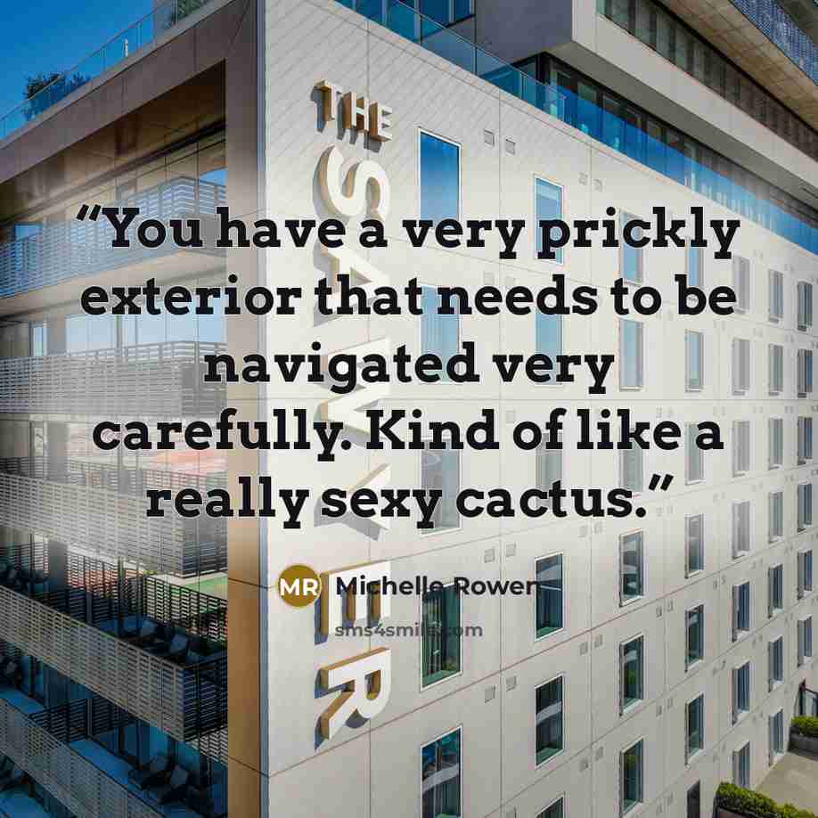 “You have a very prickly exterior that needs to be navigated very carefully. Kind of like a really sexy cactus.” quote by Michelle Rowen