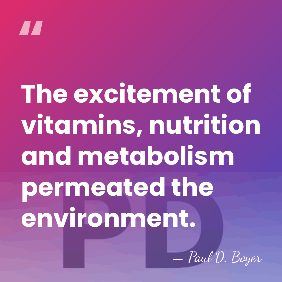 The excitement of vitamins, nutrition and metabolism permeated the environment. - Paul D. Boyer