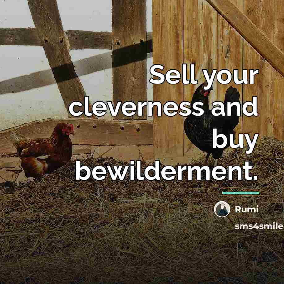 “Sell your cleverness and buy bewilderment.…” quote by Rumi