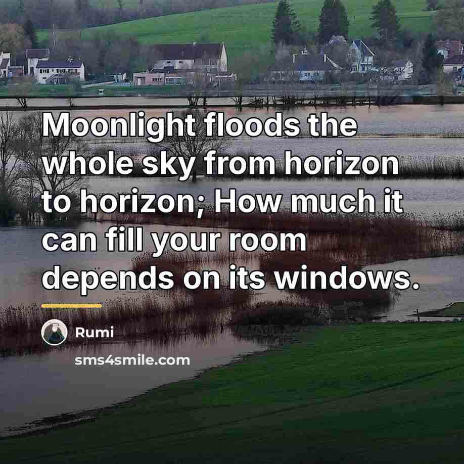 “Moonlight floods the whole sky from horizon to horizon; How…” quote by Rumi
