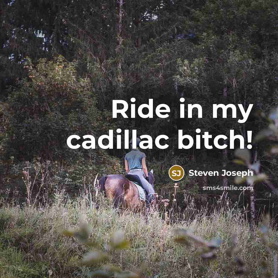 “Ride in my cadillac bitch!…” quote by Steven Joseph