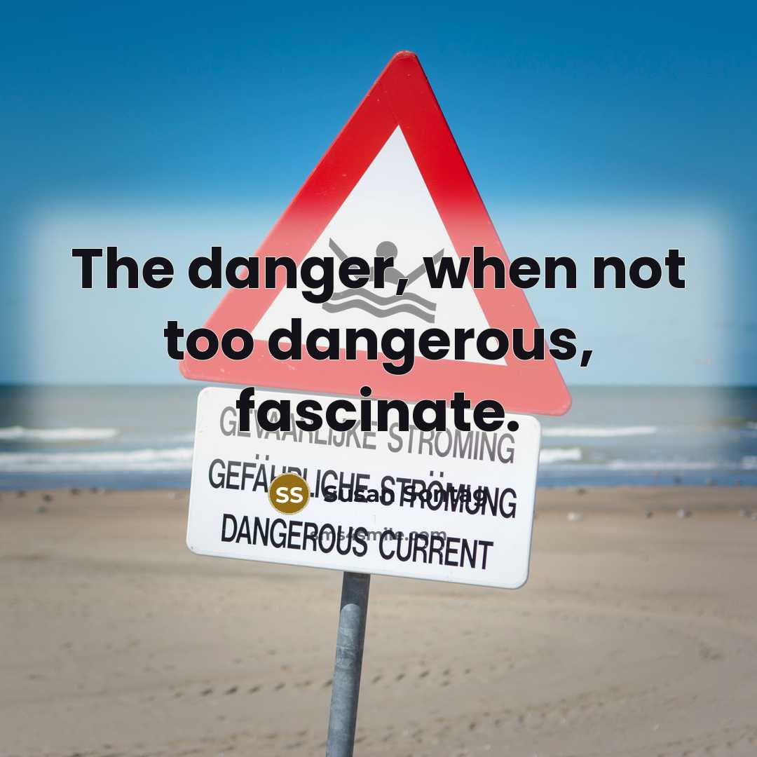 “The danger, when not too dangerous, fascinate.…” quote by Susan Sontag