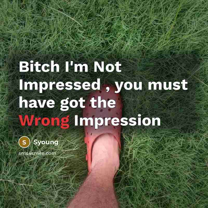 “Bitch I'm Not Impressed , you must have got the Wrong Impression” quote by Syoung