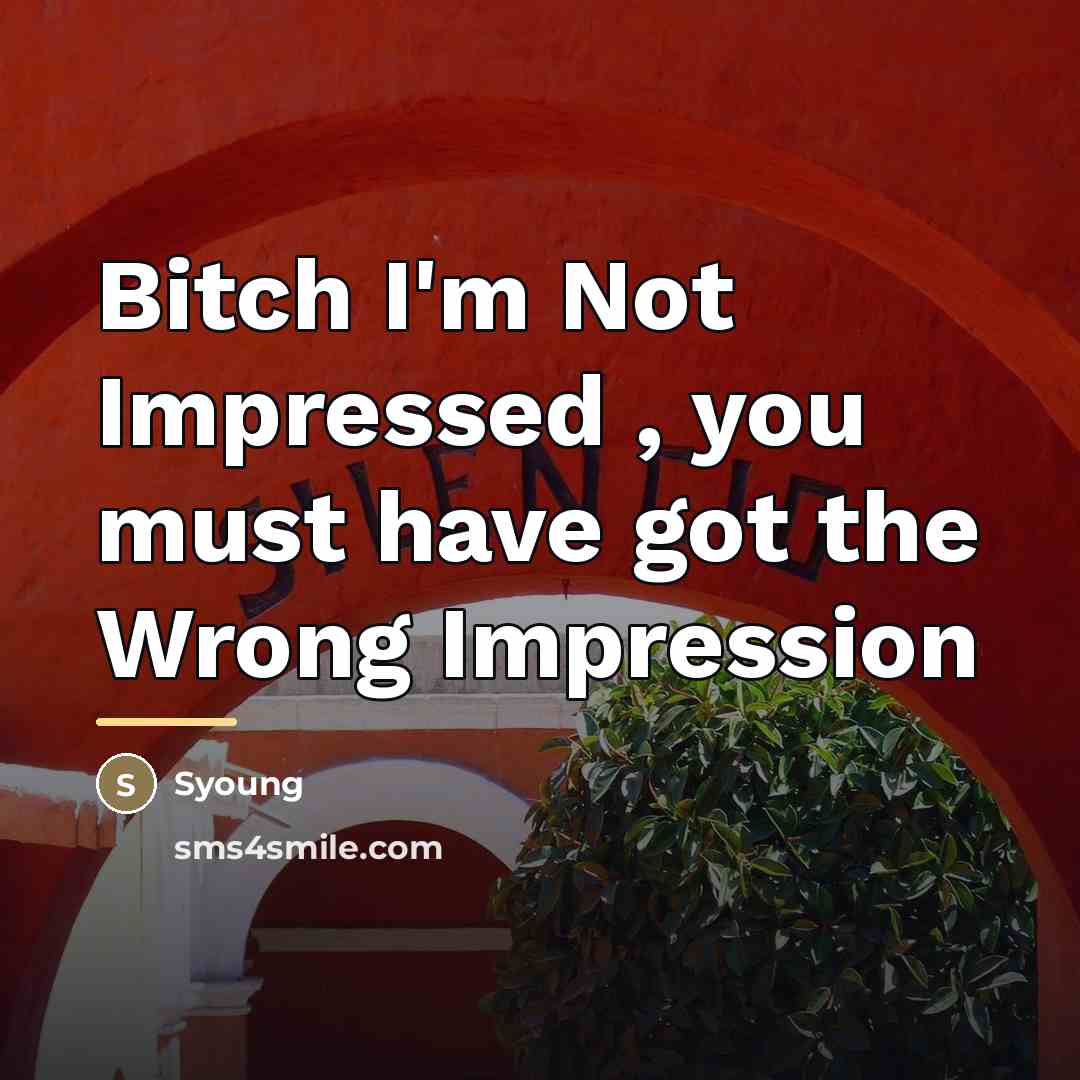 “Bitch I'm Not Impressed , you must have got the…” quote by Syoung