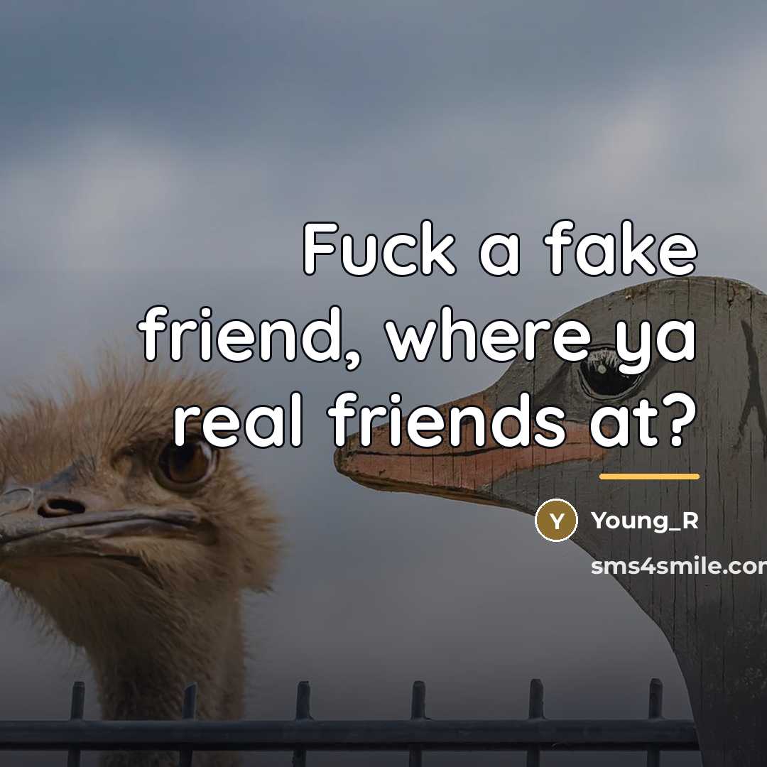 “Fuck a fake friend, where ya real friends at?…” quote by Young_R
