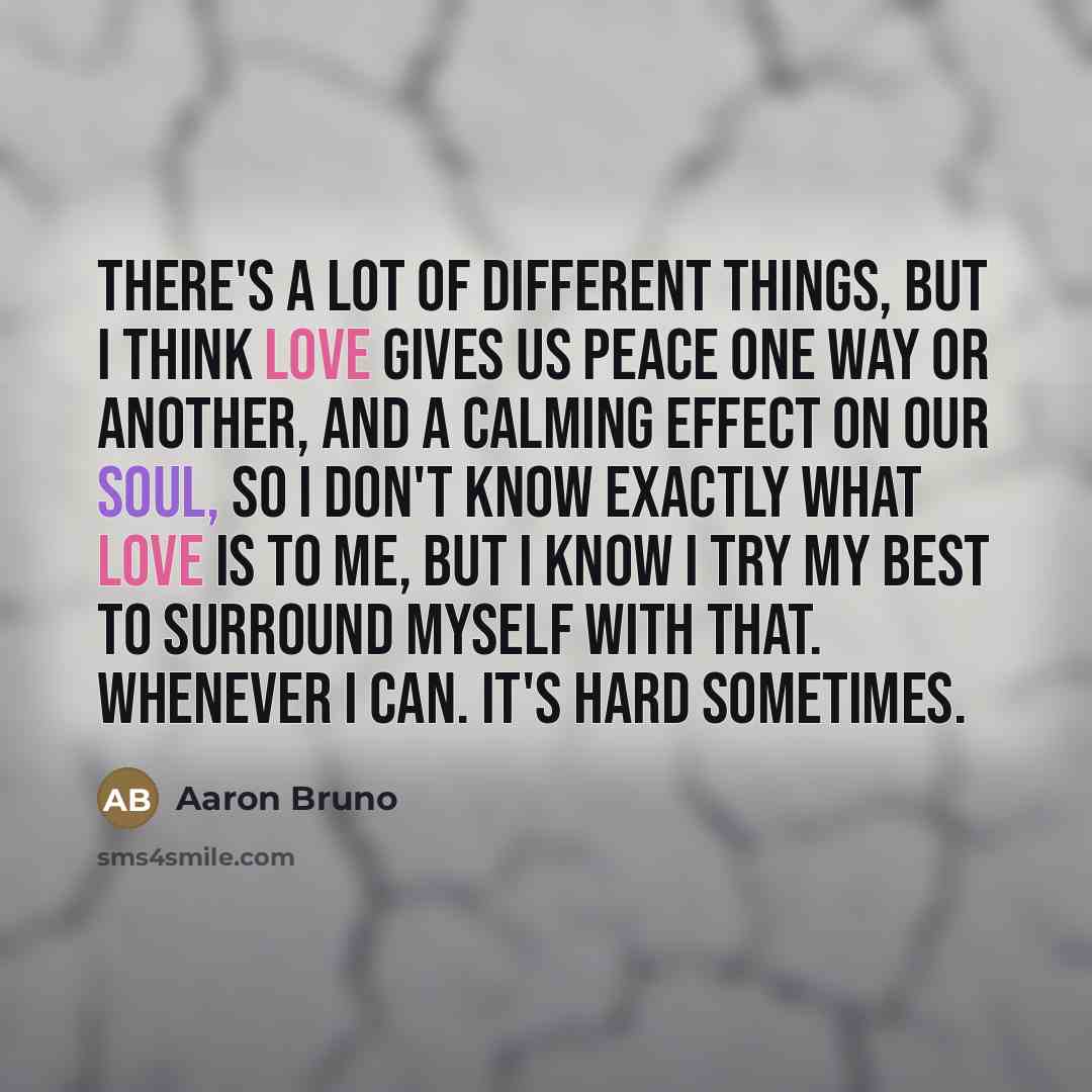 “There's a lot of different things, but I think love…” quote by Aaron Bruno