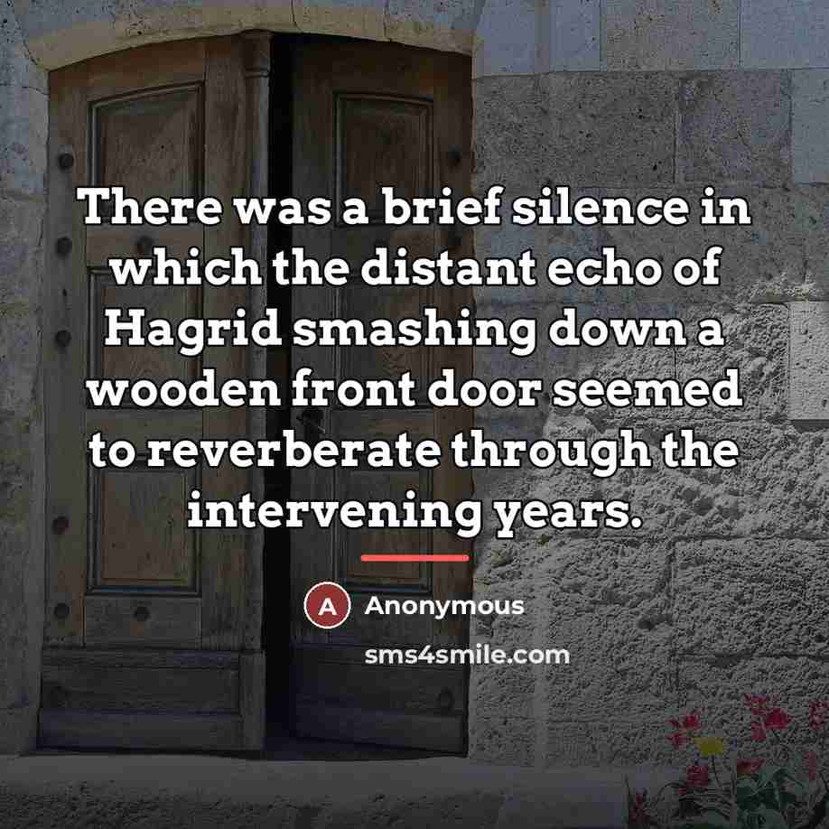 “There was a brief silence in which the distant echo…” quote by Anonymous