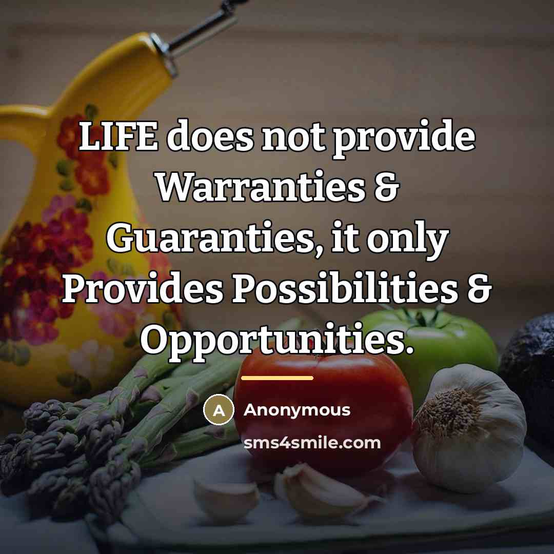 “LIFE does not provide Warranties & Guaranties, it only Provides…” quote by Anonymous
