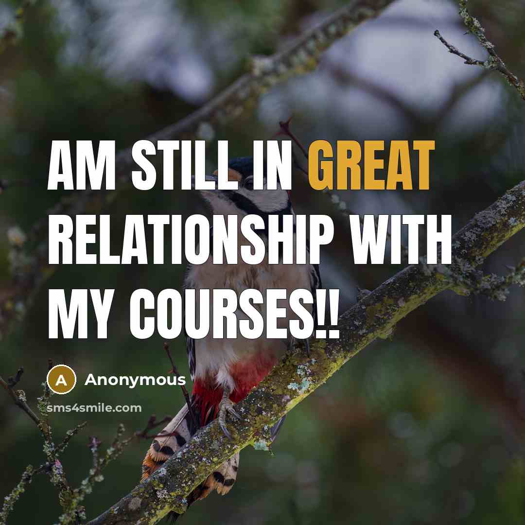 “Am still in great relationship with my courses!!” quote by Anonymous