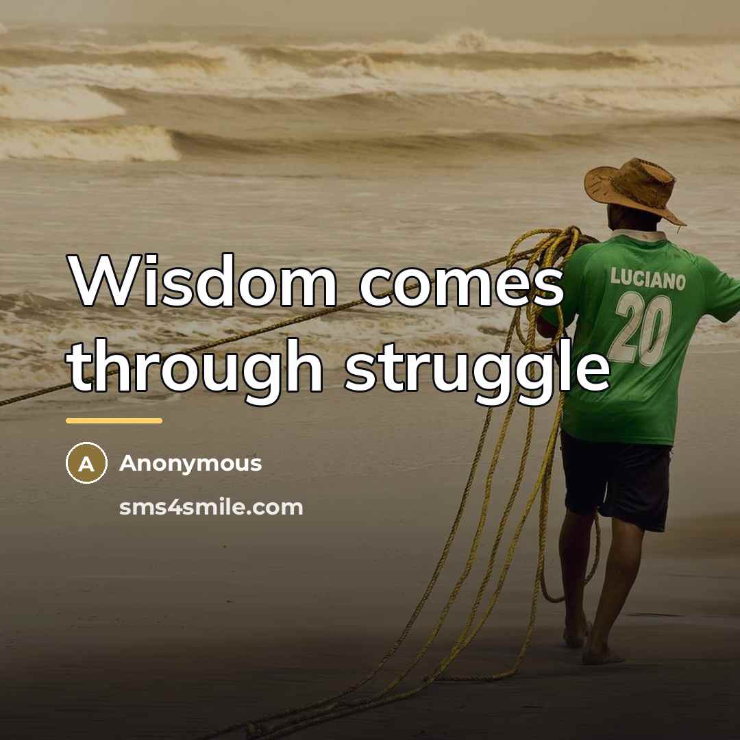 “Wisdom comes through struggle…” quote by Anonymous