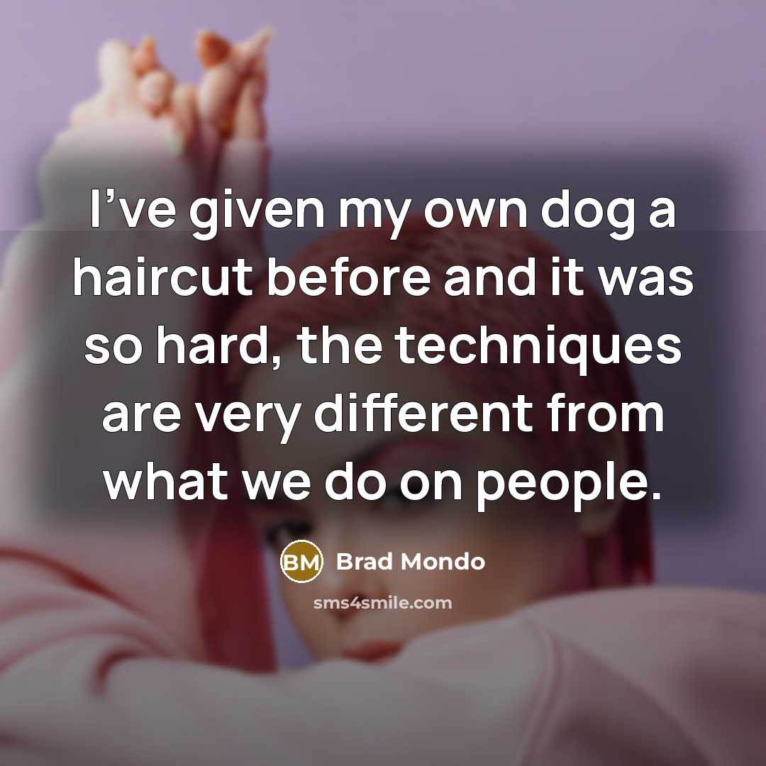 “I've given my own dog a haircut before and it…” quote by Brad Mondo